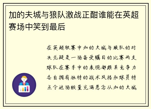 加的夫城与狼队激战正酣谁能在英超赛场中笑到最后