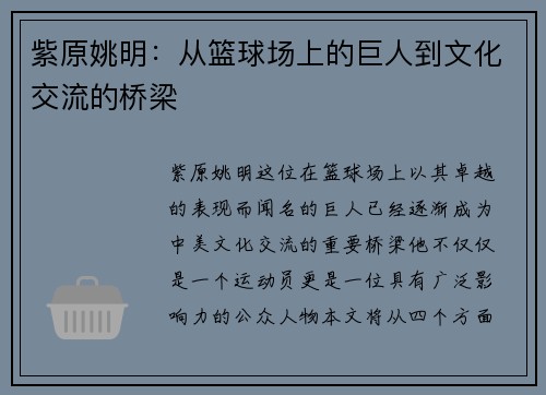 紫原姚明：从篮球场上的巨人到文化交流的桥梁